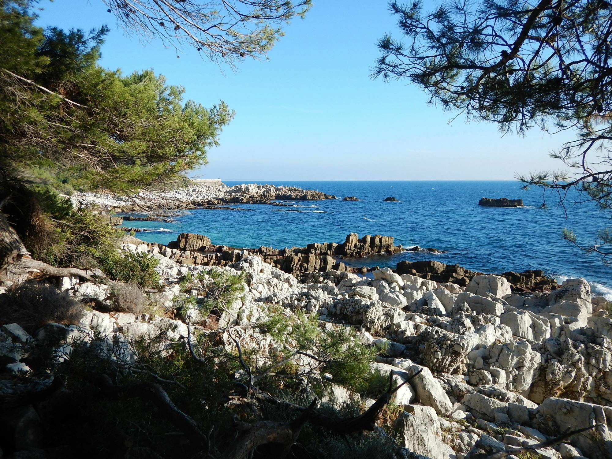 Hotel Miramar- Cap D'Antibes - La Garoupe Plage Экстерьер фото