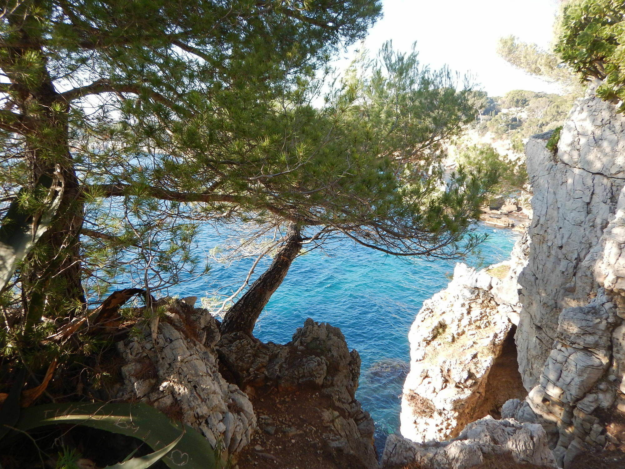 Hotel Miramar- Cap D'Antibes - La Garoupe Plage Экстерьер фото
